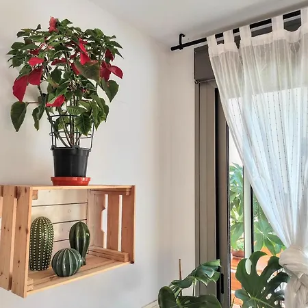 Manuela Nogales Apartments! Málaga
